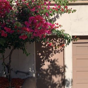 Meet your Posher, Haneen